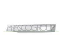 Modanatura Destra Per BMW X3 - G01 Dal 2017 Al 2021 LATO DESTRO 51117421988