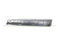 Modanatura Destra Per BMW X3 - G01 Dal 2017 Al 2021 LATO DESTRO 51117439132