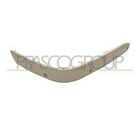 Modanatura Destra Per Mercedes E Class (w210/s210) Dal 1999 Al 2002 Lato Destro
