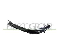 Modanatura Dx Nero/Lucida MERCEDES E CLASS AMG/AMG LINE (W213/S213) 2020/2023 DX
