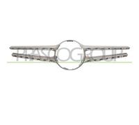 Modanatura Griglia Argento Con Foro Telecamera E Class (w212/s212) 13/16