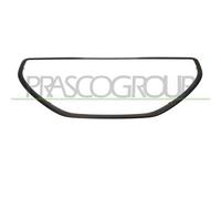 Parti della griglia del radiatore BLIC 6502-07-5509997P