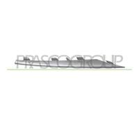Modanatura Griglia Destra Argento Per BMW X5 - E70N Dal 2010 Al 2013 LATO DESTRO