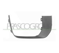 PRASCO LR7021247 Modanatura decorativa / protettiva, Griglia radiatore