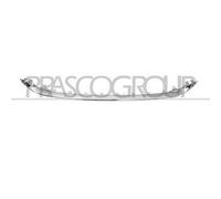 Modanatura Decorativa / Protettiva Griglia Radiatore Prasco FT0321245 per Fiat