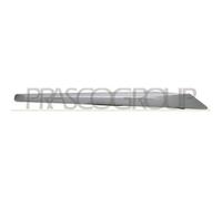 MODANATURA GRIGLIA INFERIORE DESTRA per BMW 3 e 3 Touring