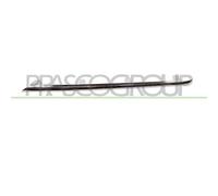 Modanatura decorativa/protettiva, griglia del radiatore BLIC 6502-07-3529937P