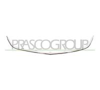 PRASCO OP4162305 Telaio, Griglia radiatore