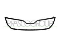 PRASCO SK3282315 Telaio, Griglia radiatore