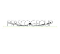 PRASCO CI3312206 Griglia radiatore
