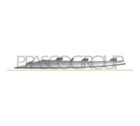 Modanatura Griglia Sinistra Argento Bmw X5 / E70n 2010/2013 Lato Sx 51117222847