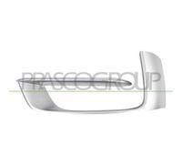 Modanatura Griglia Sinistra Argento BMW X5 / F15 2013/2018 LATO SX 51117308043