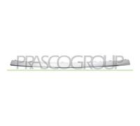 Modanatura Inferiore Centrale Cromata C Class Amg Amg Line W205 S205 18 21
