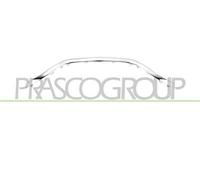 MODANATURA INFERIORE CROMATA GRIGLIA RADIATORE CAPTUR - Mod. 12/19 -