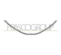 Modanatura Inferiore Cromata Griglia Radiatore Dacia Logan Mcv I/van 2006-2008