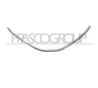 Griglia radiatore DA3202207 PRASCO per DACIA