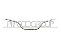 Modanatura decorativa/protettiva, griglia del radiatore BLIC 6502-07-6009991P