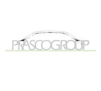 Modanatura Inferiore Cromata Griglia Radiatore RENAULT CAPTUR D 2019 620785509R