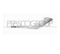 PRASCO MB7201243 Modanatura paraurti