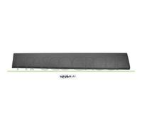 Modanatura Decorativa/ Protettiva Portiera Prasco FT9001453 per Fiat Nissan Opel