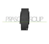 PRASCO FT9501406 Listello d'accesso