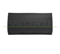 PRASCO FT9501474 Modanatura decorativa / protettiva, Parafango