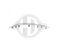 DIEDERICHS 1673062 Modanatura paraurti