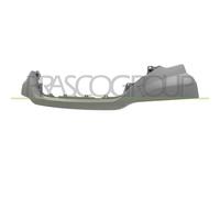 PRASCO FT9512206 Modanatura paraurti