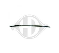 Diederichs Modanatura paraurti centro per Mercedes Classe E E 220 D 70 KW 95 CV