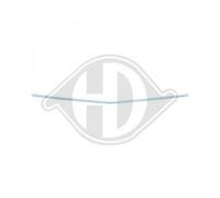 Diederichs Modanatura paraurti anteriore centrale cromata compatibile con 1647164 Mercedes S W221