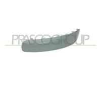 Modanatura Destra Con Primer-Paraurti Posteriore Peugeot 307-(Anno 2001-2005)