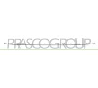 MODANATURA PARAURTI POST CENTRALE CROM VOLKSWAGEN TIGUAN ALL SPACE 11/18-09/20