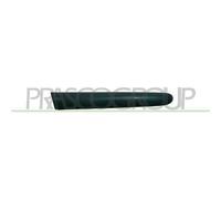 Modanatura Sinistra Nera Per PEUGEOT 207 Dal 2006 Al 2009 LATO SINISTRO 7452HQ