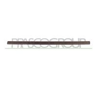 Modanatura Porta Anteriore Destra Per OPEL/VAUXHALL MERIVA 2003-2006 LATO DESTRO