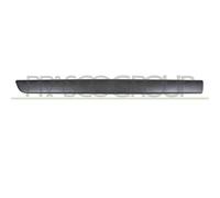 MODANATURA PORTA ANTERIORE SINISTRA per RENAULT KANGOO / GRAND KANGOO II e KA...