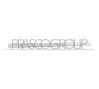 Modanatura Porta Anteriore Sinistra Peugeot 307 2005-2009 Lato Sinistro 8545w4