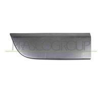 Modanatura Porta Anteriore Sinistra Renault Master 2010/2014 Lato Sx 808210166r