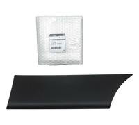 Modanatura porta originale Renault Master III sinistra