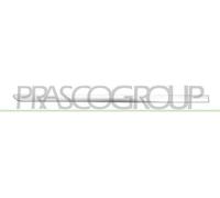 MODANATURA PORTA POSTERIORE DESTRA-NERA GOFFRATA MOD. 5 PORTE ACTIVE/DYNAMIC LIN