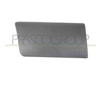 Modanatura Porta Posteriore Destra Nissan Primastar 2001/2007 Lato Dx 7685000qae