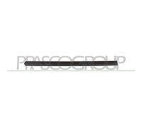 Modanatura Porta Posteriore Destra Per Volkswagen Caddy 2003-2010 Lato Destro