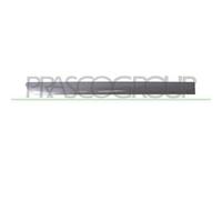 Modanatura Porta Posteriore Destra Per Volkswagen Golf Plus 2005-2009 Destro