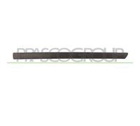 Modanatura Porta Posteriore Sinistra Ford Focus 2005-2007 Lato Sinistro 1489431