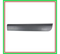 Listello di protezione porta posteriore sinistra nera