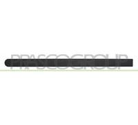 MODANATURA PORTA POSTERIORE SINISTRA-NERA GOFFRATA MOD. 5 PORTE CORSA C - Mod. 1