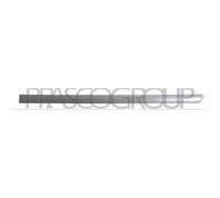 PRASCO VG0341464 Modanatura decorativa / protettiva, Portiera