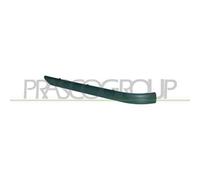 Modanatura Sinistra BMW 3 SERIES / E46 Dal 2001 Al 2005 LATO SX 51127030603