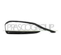 PRASCO BM0311204 Modanatura paraurti