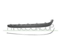 Modanatura Sinistra Con Profilo MERCEDES E CLASS (W211/S211) 2002-2007 SX