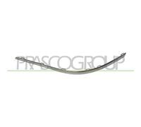 PRASCO VG0551264 Modanatura paraurti
